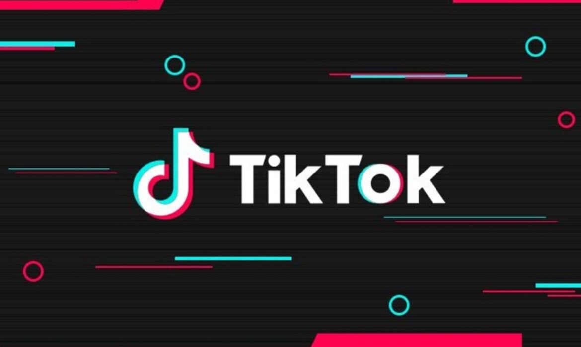 Campanhas Bem Sucedidas no Tik Tok 